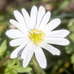 190420-untitled-1L4A0944-Edit