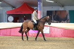 SBM_14928