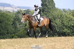 2147-George.Walford-meadow.sweet.conker portfolio