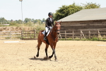 SBM_003530
