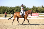 SBM_006818