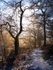 Cannop Path