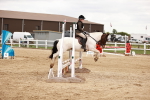 SBM_008662