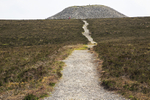 Trail to Queen Maeve's Cairn
