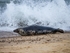 Atlantic Grey Seal