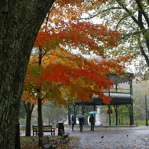 Tourists enjoying mid-October hues near the Bandstand @ King's Square in Saint John, NB, Canada.
