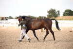 SBM_08208