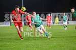 GFC v South Park 2023-34