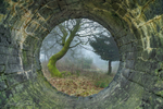Through The round Window