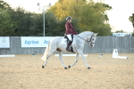 SBM_31187
