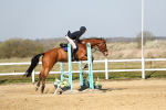 SBM_000447