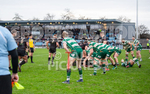 Guernsey Raiders v Rochford Hundred-57