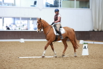 SBM_001382