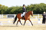 SBM_008356