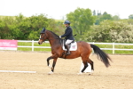 SBM_005705