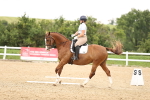 SBM_001927