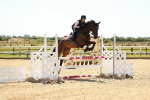 SBM_006595