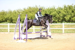 SBM_001013