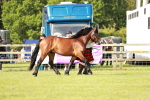 SBM_00780