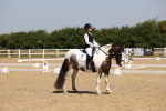 SBM_004164