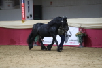 SBM_04987