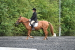 WJ7_5012