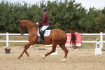 SBM_011941