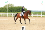 SBM_006564