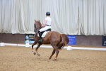 SBM_002628