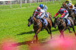 290723-Race 2-Aberama Gold-3823