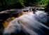 River Rivelin (01)