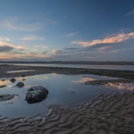 Rockpool, Budle Bay