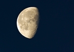 YR6M9518 (RM)