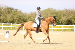 SBM_008433