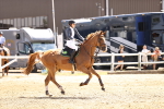 SBM_001449