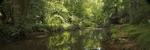 <center>Down By The River</center>