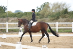 SBM_003783
