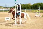 SBM_006471