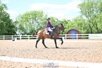 Cls 40 BD FEI Intermediate I portfolio