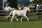 SBM_00606