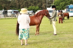 SBM_00485