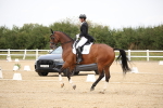SBM_020087