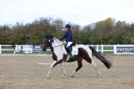 SBM_002236