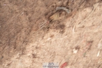 260926-140546-00425