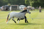 SBM_00627