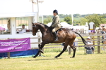 SBM_14917