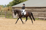 SBM_001980