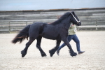 SBM_003976