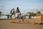 SBM_12747