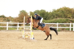 SBM_008972